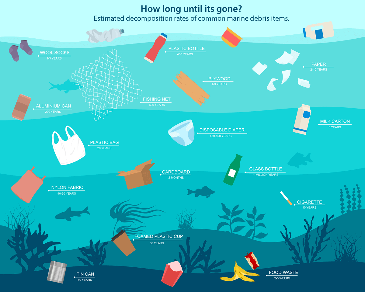 How Long Does It Take Plastic to Decompose?:image Plastic-Decompose-syndey-rubbish-removal